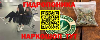 круглые Лесосибирск